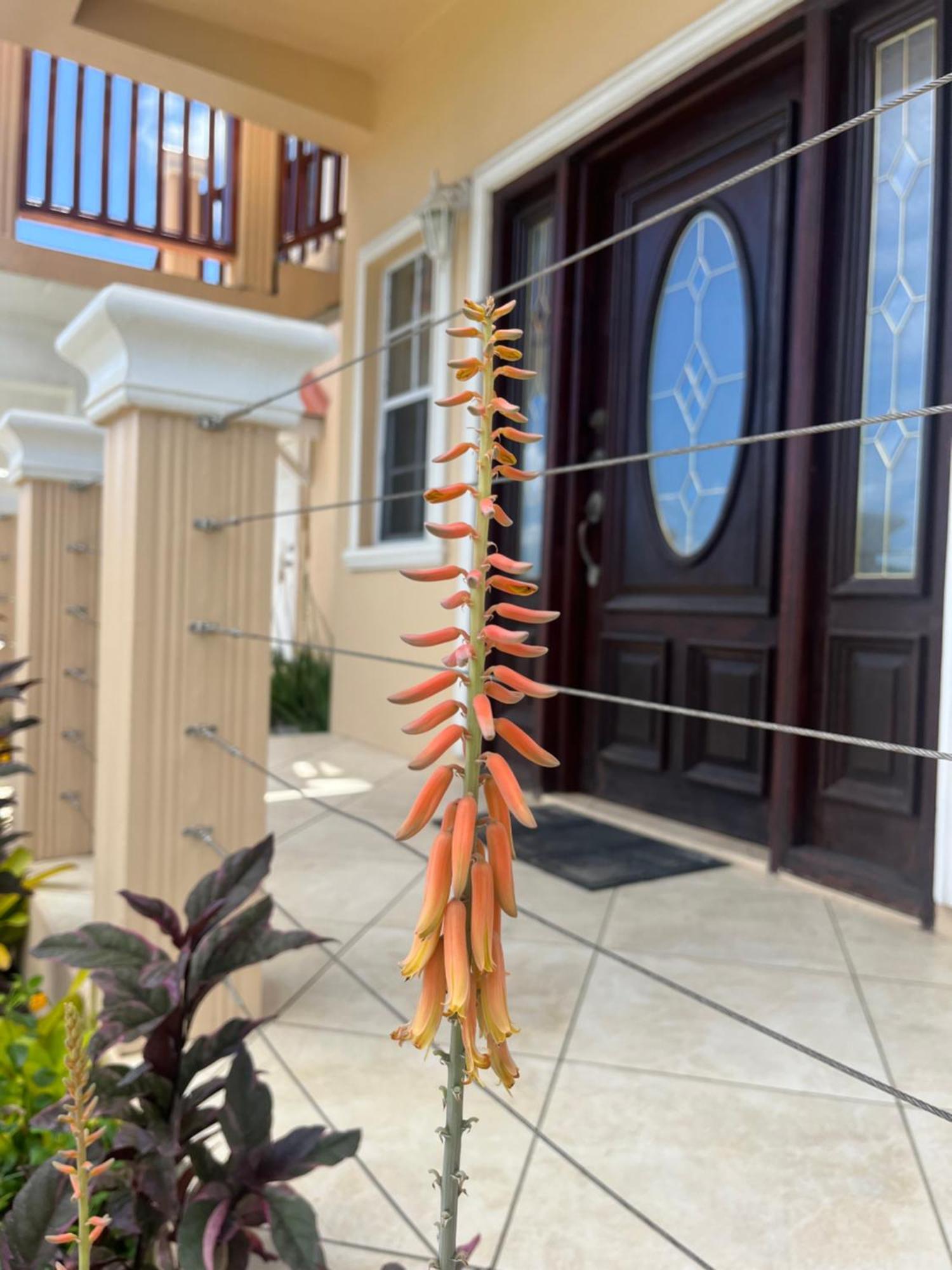 Belle Breeze Haven Apartment Gros Islet Exterior photo
