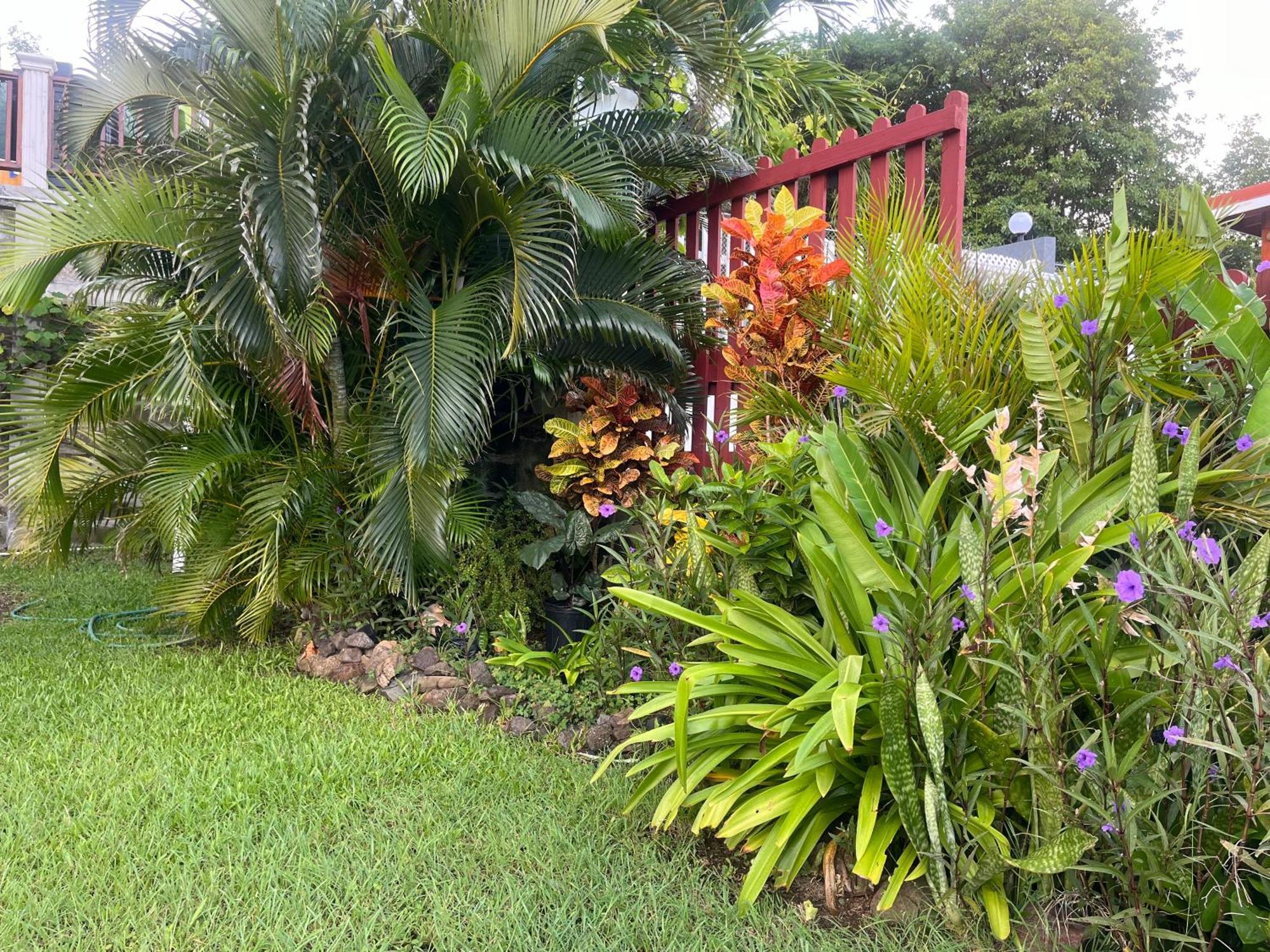 Belle Breeze Haven Apartment Gros Islet Exterior photo